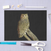 Grote hoornvliezen bij nacht tissuepapier (Craft)