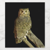 Grote hoornvliezen bij nacht wijn etiket (Enkel label)