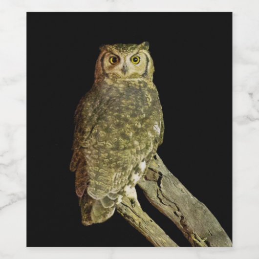 Grote hoornvliezen bij nacht wijn etiket (Enkel label)