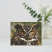 Grote hoornvogel Sluiten Briefkaart (Staand voorkant)