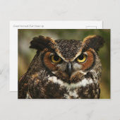 Grote hoornvogel Sluiten Briefkaart (Voorkant / Achterkant)