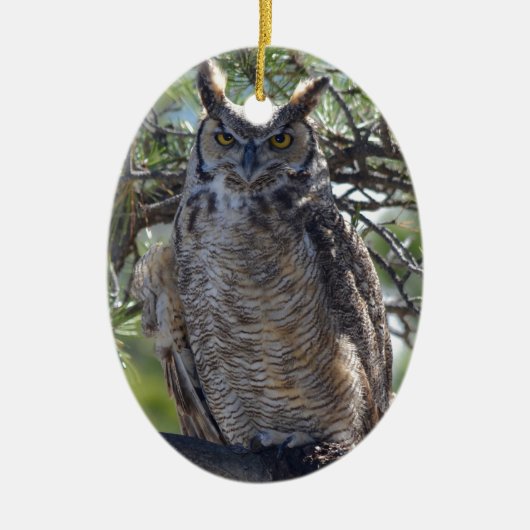 Grote hoornvogels in de boom keramisch ornament (Voorkant)