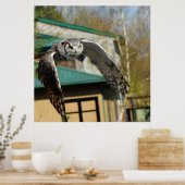 Grote Horn Owl gele ogen 2 Poster (Keuken)