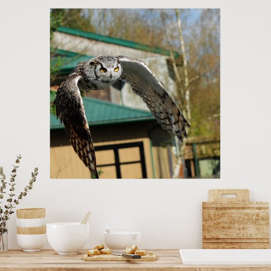 Grote Horn Owl gele ogen 2 Poster (Keuken)