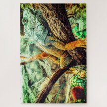 Grote Iguana