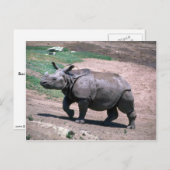 Grote Indiase eenhoornige Rhino Briefkaart (Voorkant / Achterkant)
