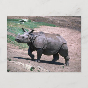 Grote Indiase eenhoornige Rhino Briefkaart