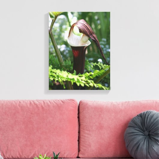 Grote Jack in de aanloopklep Canvas Afdruk (Insitu (Woonkamer))