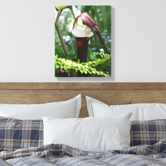 Grote Jack in de aanloopklep Canvas Afdruk (Insitu (Slaapkamer))