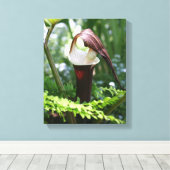 Grote Jack in de aanloopklep Canvas Afdruk (Insitu (Houten vloer))