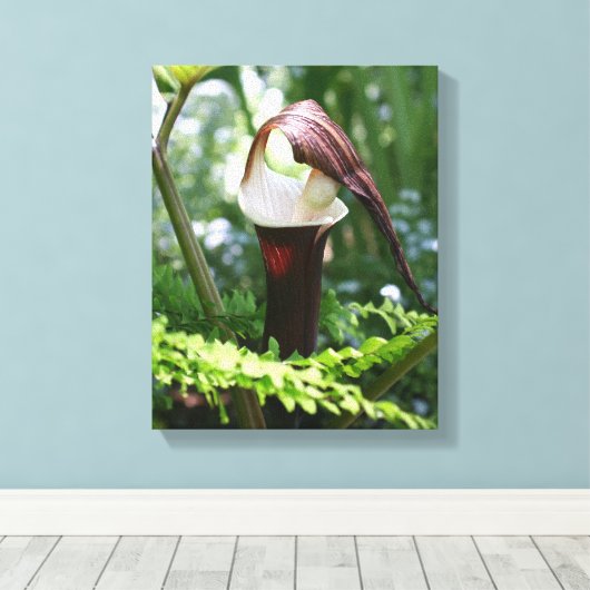 Grote Jack in de aanloopklep Canvas Afdruk (Insitu (Houten vloer))