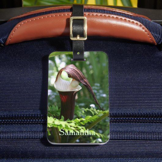 Grote Jack in de aanloopklep op maat Bagagelabel (Voorkant Insitu 2)