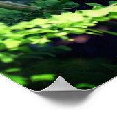 Grote Jack in de aanloopklep Poster (Hoek)