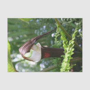 Grote Jack in de aanloopventilator sluit de loskop Tissuepapier