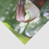 Grote Jack in de aanloopventilator sluit de loskop Tissuepapier (Detail)