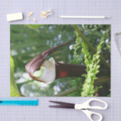 Grote Jack in de aanloopventilator sluit de loskop Tissuepapier (Craft)