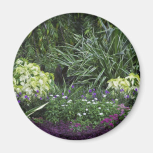 Grote Kaaimaneilanden Magneet