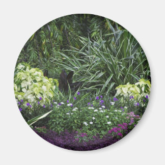 Grote Kaaimaneilanden Magneet