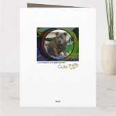 Grote Kaart | Staffordshire Bull Terrier Verjaarda (Achterkant)