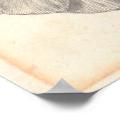 grote kaketoe met zwavelkam poster (Hoek)