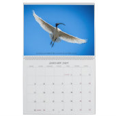 grote kalander 24 kalender (Jan 2027)