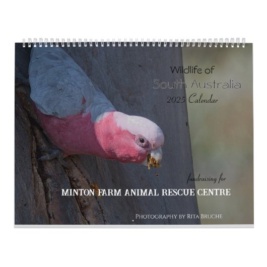 grote kalander 24 kalender (Hoes)