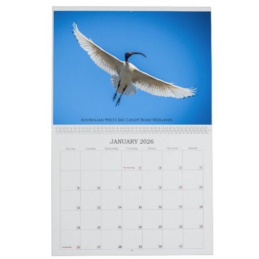 grote kalander 24 kalender (Jan 2026)