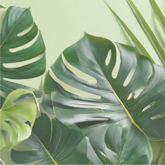 Grote kamerplant bladeren met tekstruimte sticker (Voorkant)