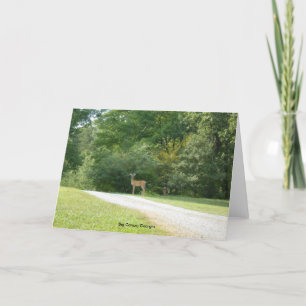 Grote Kano, de Kaart van de Nota van Georgië