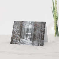 Grote Kano, Georgië