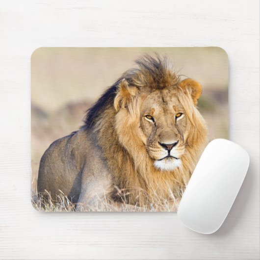 Grote kat in Afrika Muismat (Met muis)