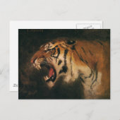 grote kat in de grote tijger, wilde dieren briefkaart (Voorkant / Achterkant)