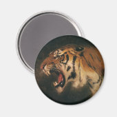  grote kat in de grote tijger, wilde dieren magneet (Voorkant / Achterkant)