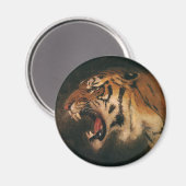 grote kat in de grote tijger, wilde dieren magneet (Voorkant / Achterkant)