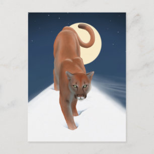 grote kat in de wintersneeuw - bergachtige leeuw briefkaart