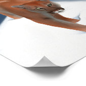 grote kat in de wintersneeuw - bergachtige leeuw poster (Hoek)