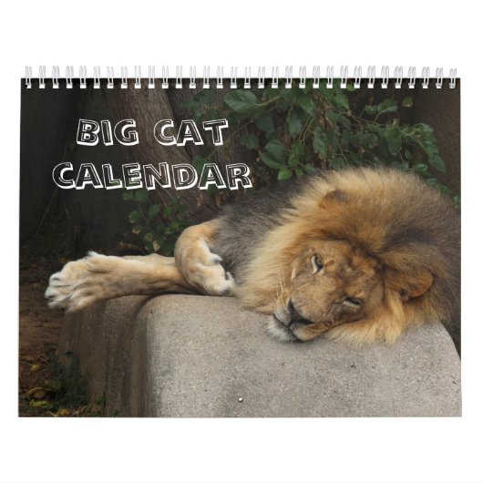 Grote kat kiest je jaar kalender (Hoes)