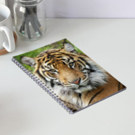 Grote Katachtige Sumatraanse Tijger Foto Notitieboek
