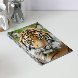 Grote Katachtige Sumatraanse Tijger Foto Notitieboek