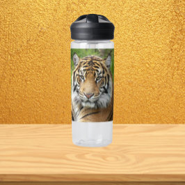Grote Katachtige Sumatraanse Tijger Foto Waterfles