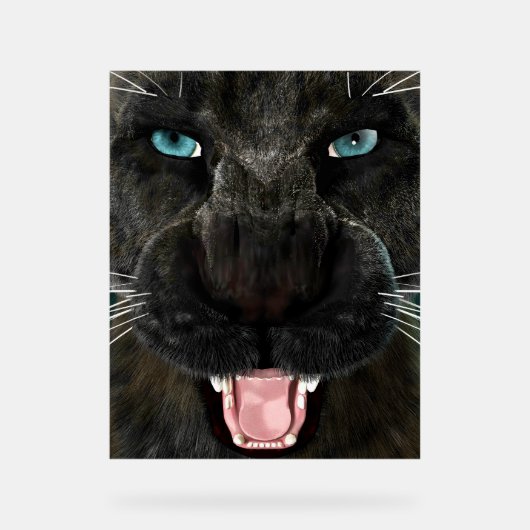 Grote Katachtige Zwarte Panter Acryl Bord (Voorkant)