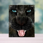 Grote Katachtige Zwarte Panter Acryl Bord (Neutraal)