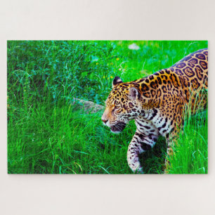 Grote katachtigen Jaguar. Legpuzzel