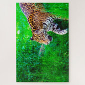 Grote katachtigen Jaguar. Legpuzzel (Verticaal)