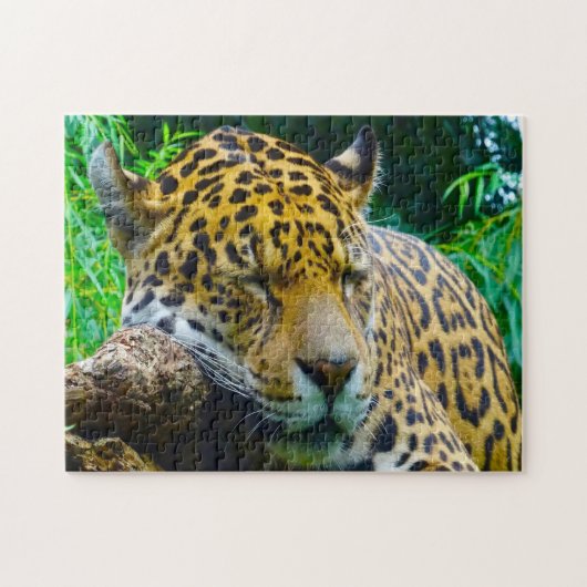 Grote katachtigen Jaguar. Legpuzzel (Horizontaal)