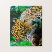 Grote katachtigen Jaguar. Legpuzzel (Verticaal)