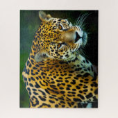 Grote katachtigen Jaguar. Legpuzzel (Verticaal)