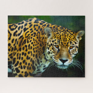Grote katachtigen Jaguar. Legpuzzel