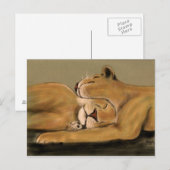 grote kattedutje briefkaart (Voorkant / Achterkant)