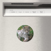 Grote katten - 11 magneet (Insitu (Vaatwasser))